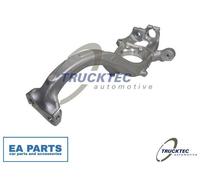 Stub Axle, wheel suspension for AUDI A4 TRUCKTEC AUTOMOTIVE 07.31.285