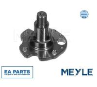 Stub Axle, wheel suspension for AUDI SEAT SKODA MEYLE 100 501 0029