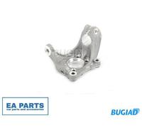 Stub Axle, wheel suspension for AUDI SEAT VW BUGIAD BSP23775