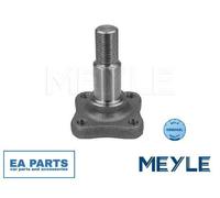 Stub Axle, wheel suspension for DACIA RENAULT MEYLE 16-14 501 0000