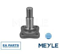 Stub Axle, wheel suspension for RENAULT DACIA MEYLE 16-14 501 0000