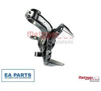 Stub Axle, wheel suspension for SEAT CORDOBA IBIZA TOLEDO METZGER 58086301