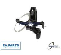 Stub Axle, wheel suspension for VW BORA CADDY GOLF TRUCKTEC AUTOMOTIVE 07.31.298