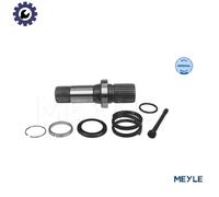 100 498 0243 MEYLE Stub Axle, differential for VW