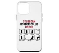 Stubborn Border Collie Tricks Case for iPhone 12 mini