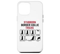 Stubborn Border Collie Tricks Case for iPhone 12 Pro Max