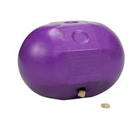 Stubb's Rock 'N' Roll Ball for Horses - Purple - Regular - 34 x 26 cm