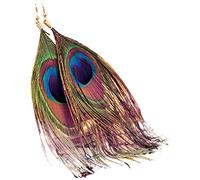 Stud Earrings for Women Girls, Ethnic Women Peacock Feather Dangle Hook Long Drop Earrings Jewelry Gift Decor Earrings Birthday Gift Wedding JewelryNice and Attractive