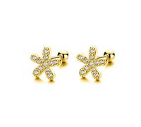 Stud Earrings Screw Earring Sweet Birthday For Women
