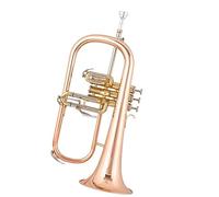 Student brass Trumpet Student B Flat Trumpet Wind Instrument Professional Playing Rose Gold