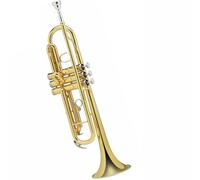 Student brass Trumpet Trumpet Brass Material Beginner Entry School Band Playing Alto B-down Trumpet Instrument