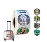 Student Confirmation Sticker | 500 Trendy Meme Cartoon Sticker Roll | 1" Inspirational Animal Stickers Teachers, Daily Reward Signs, Homework Stickers Boys and Girls