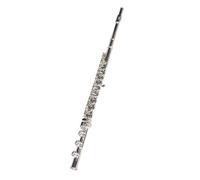 student flute 17-hole Silver-plated Open-hole Flute In C Key Beginner's Grade White Copper