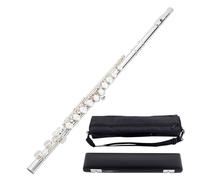 student flute Beginner's Flute Professional Playing Nickel-plated Silver-plated Copper C Key High-end Luggage (Color : 101)