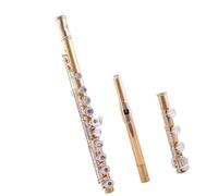 student flute Flute 17-hole B Tail Open And Close Dual-purpose Silver-plated Adult Student General Professional Examination Instrument