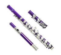 student flute Purple 16 Holes C Tone Flute With E Key Woodwind Instrument Closed Key Cupronickel Tube With Padded Bag