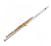 Student Flute Type Small Elbow The 16 Key Hole Openings C Flute Silver Body Gold Keys Instrument