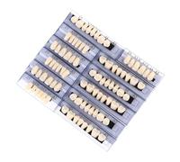 Student Practice Teeth Set 168Pcs Resin Simulation Teeth Tooth Shape Display Model for Clinical Skill Improvement Odontological Education