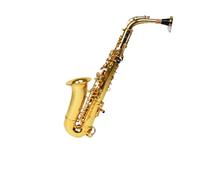student saxophone Alto Saxophone Eb Brass Plated Electrophoretic Gold Professional Woodwind Instruments With Case (Color : MULTI)