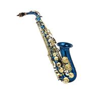 student saxophone Blue Woodwind Instrument Brass Engraved Eb E-Flat Alto Saxophone Sax Buttons Wind Instrument With Case Gloves Belt Brush
