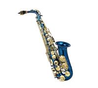 student saxophone Brass Engraved Eb Alto Saxophone Sax Buttons Wind Instrument With Case Gloves Cloth
