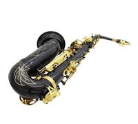 student saxophone Brass Engraved Eb E-Flat Alto Saxophone Sax Buttons Wind Instrument With Case Stock With Sax Accessories