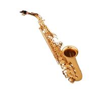 student saxophone E Flat Alto Saxophone Grade Beginner Adult Professional Playing Electrophoretic Gold Woodwind Instrument