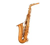 student saxophone E Flat Alto Saxophone Woodwind Instrument Professional Beginners Grade Examination Matt Gold