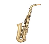student saxophone E Flat Alto Saxophone Woodwind Instrument Professional Performance Beginners Grade Matt Green Antique
