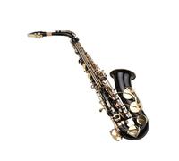 student saxophone Eb Alto Saxophone Brass Paint E-flat Sax Black Paint Gold Lacquer Alto Sax With Case Saxophone Accessories
