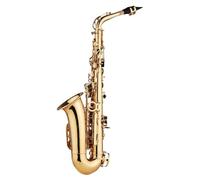 student saxophone Eb E Flat Brass Saxophone Carved Pattern On Surface Plastic Mouthpiece Exquisite With Gloves (Color : Gold)