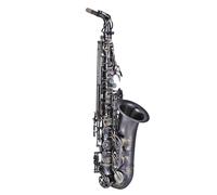 student saxophone French E-flat Alto Saxophone Beginners Professional Performance Examination