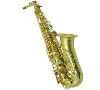 student saxophone Professional Alto Saxophone Eb Brass Plated With Canvas Case Leather Case (Color : Leather Case)