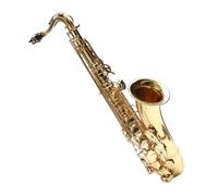student saxophone Tenor Saxophone In B Flat Adult Grade Examination Performance Beginner Portable Pipe