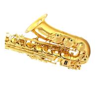 student saxophone White Key Alto Saxophone In E Flat For Beginners And Adults To Perform For Grade Examination