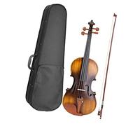 Student violin Professional Matte Electro Acoustic 4/4 Violin With Jujube Wood Accessories Case Bow Extra Strings Adult violin
