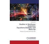 Studies in Nonlinear Evolution Equations: Stability and Blow-Up