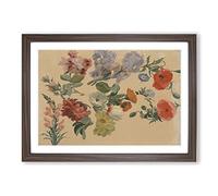 Studies of Flowers Vol.2 by Jacques-Laurent Agasse Framed Print | A2 Walnut Framed Wall Art | Ready to Hang | Modern Floral Picture | Living Room Bedroom Lounge Office