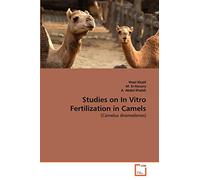 Studies on In Vitro Fertilization in Camels: (Camelus dromedaries)