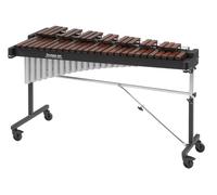 Studio 49 RXP/R 3050/V A=443Hz