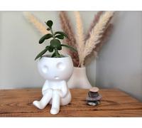 Studio Ghibli Kodama Planter Figurine | Mononoke Tree Spirit Plant Pot (Medium - 12cm (4.72in))