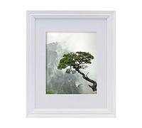 Studio Nova Displays 8 x 10 Photos 11 x 14 without Mat, White, 11x14-Matted 8x10