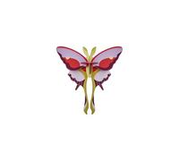 studio ROOF, Wall Art Butterfly, Lilac Comet Butterfly, Eco-Friendly & Creative Gift