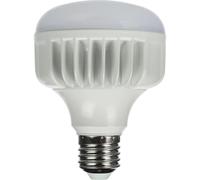 StudioKing LED Daylight Lamp 25W E27 FLED-25