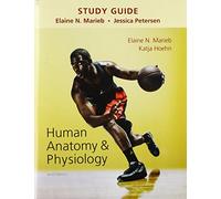 Study Guide for Human Anatomy & Physiology