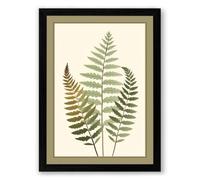 Study in Ferns Botanical Framed Wall Art Print A3 (42×29.7cm) Black, Wall Decor for Living Room, Bedroom, Office & Home, Ready to Hang, Art Gift