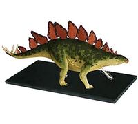 Study Model Educational Model Dinosaur Anatomy Mode - Detachable39 Parts Animal Model