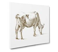 Study of a Cow by Jean Bernard Canvas Print | Gallery Wrapped 30mm Frame Wall Art | 20x20 inches | Ready to Hang | Modern Animals Picture | Living Room Bedroom Lounge Office