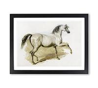 Study Of A Grey Arab Horse By John Frederick Herring Classic Painting Framed Print | A2 Black Framed Wall Art | Ready to Hang | Classic Animal Picture | Living Room Bedroom Lounge Office