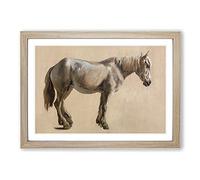 Study of A Grey Horse by Jacques-Laurent Agasse Framed Print | A2 Oak Framed Wall Art | Ready to Hang | Modern Animal Picture | Living Room Bedroom Lounge Office